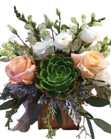 Succulent Dream Flower Arrangement