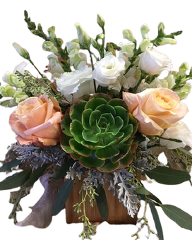 Succulent Dream Flower Arrangement