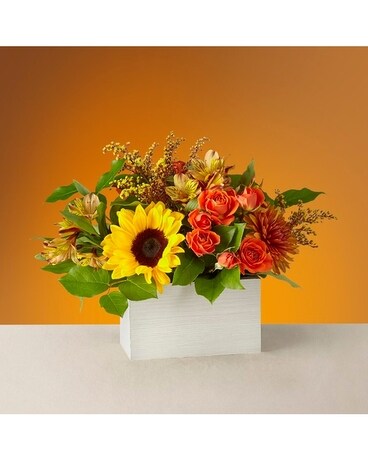 Golden Hour Bouquet Flower Arrangement