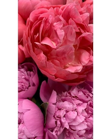 Luxury Blooms Flower Arrangement