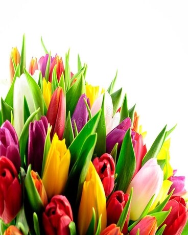 Mixed Tulips Flower Arrangement