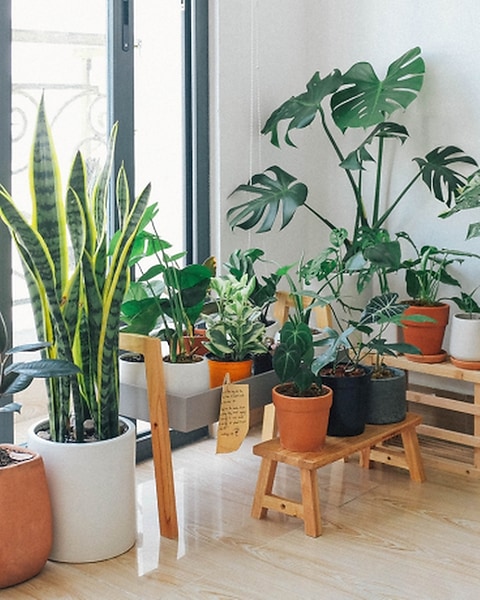 macrame plant hanger patterns Walter Macrame Plant Hanger