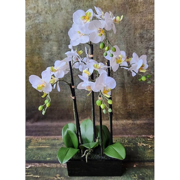 Faux White Orchid Plants In A Ceramic Pot in Kennett Square PA - Barber's  Florist Of Kennett Square