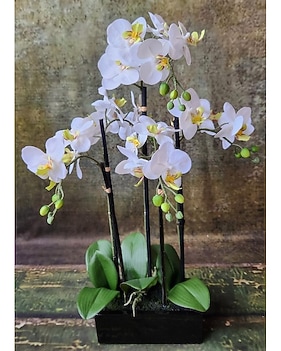 Silk Flower 12 Cilindri In Schiuma Per Fiori Artificiali – Diametro 8 Cm, Altezza 5 Cm, Per Composizioni Floreali Matrimoniali, Ecologici E Biodegradabili - 3