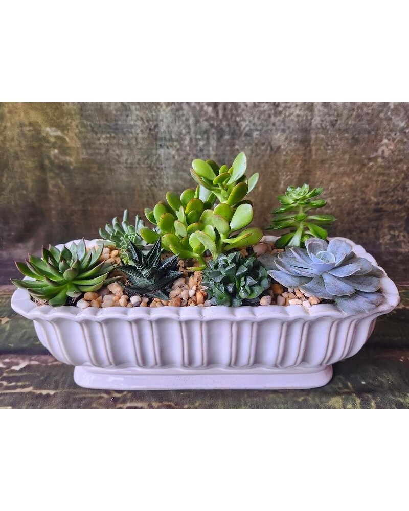 BOTANICALS Delivery Kennett Square PA - Barber's Florist Of