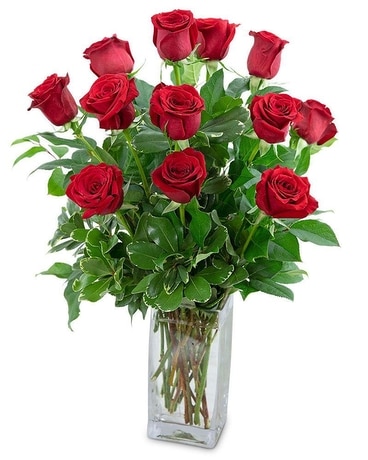 Classic Dozen Roses - Choose Your Colour Flower Arrangement