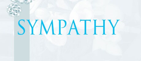 Beautiful Seasonal Flowers Banner