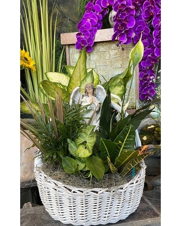 DISH GARDEN (MEDIUM) AMAZING GRACE MUSICAL ANGEL Flower Arrangement