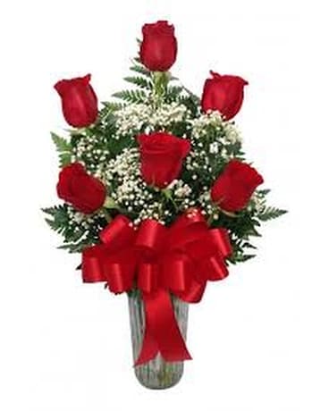 RED ROSES 1/2 DOZEN Flowers