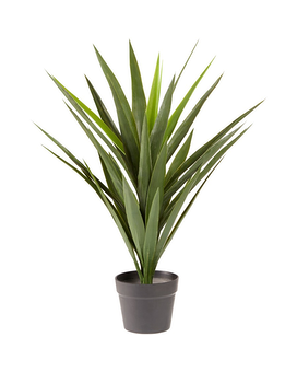 Standard size,  inches height and  inches wide.