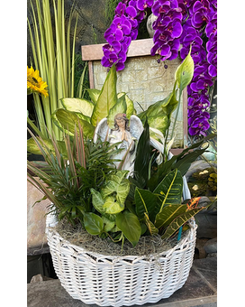 DISH GARDEN WITH AMAZING GRACE MUSICAL ANGEL LARGE Flower Arrangement