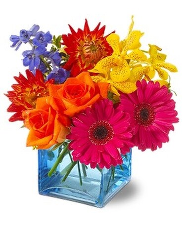 Calypso Flower Arrangement
