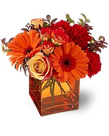 Teleflora's Sunrise Sunset Flower Arrangement