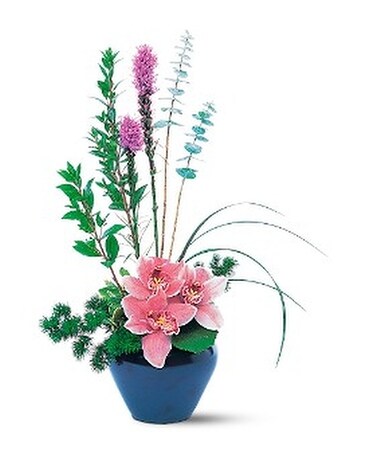 Orchid Cheer Flower Arrangement