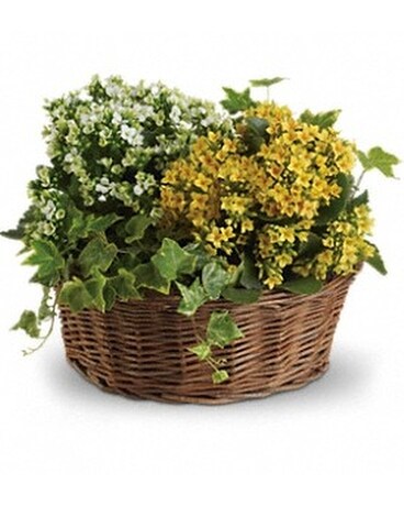 Basket of Joy Flower Arrangement