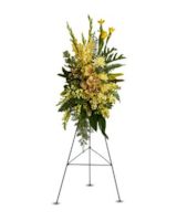 Standard size, 37 inches height and 21 inches wide.