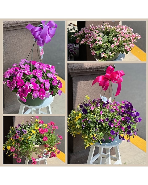 decorative indoor plant pots DISSIPAT Indoor Planter | Natural