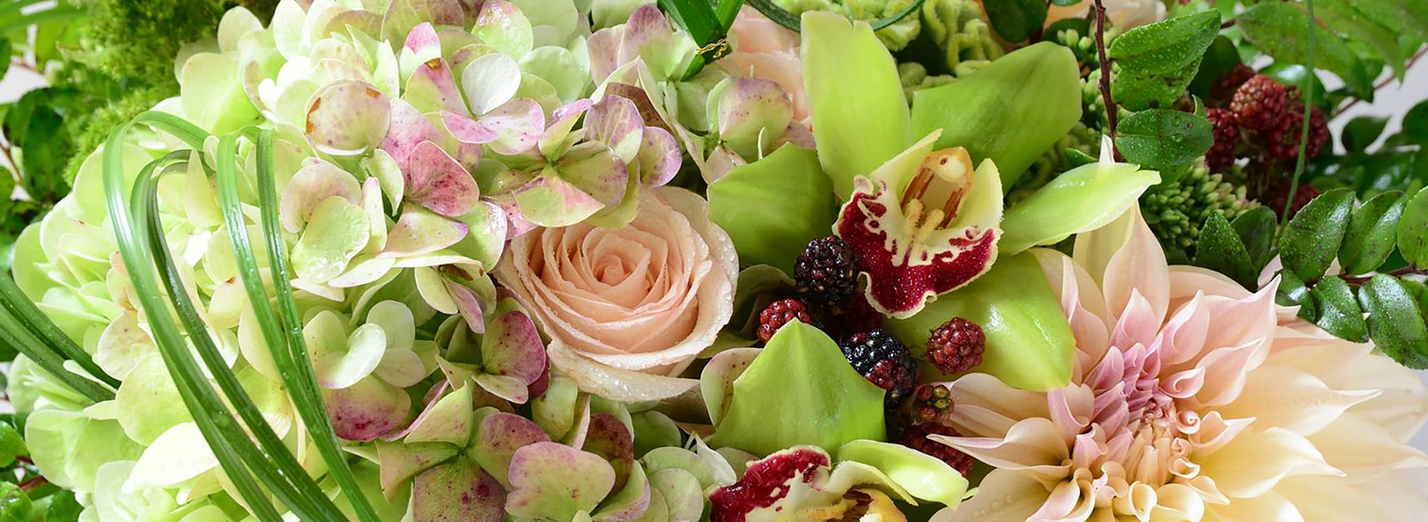 Florist Worcester, MA SameDay Flower Delivery in Worcester, MA