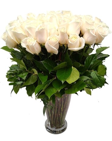 50 Long Stem White Roses Flower Arrangement