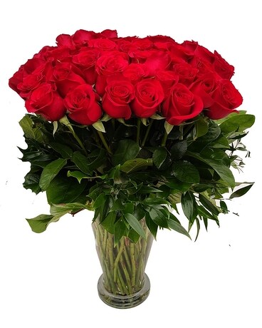 50 Long Stem Red Roses Flower Arrangement