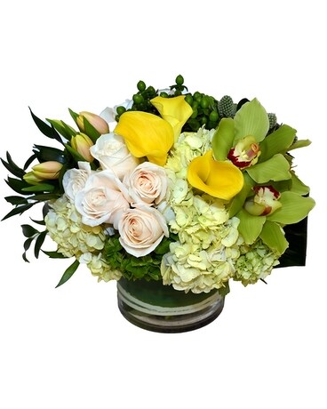 Bellissimo Flower Arrangement