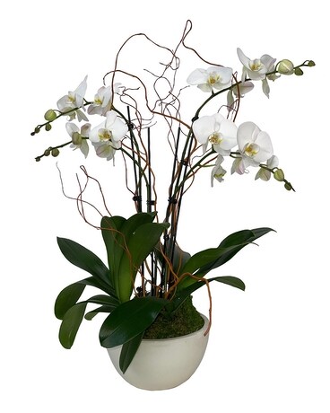 White Orchid Garden Flower Arrangement