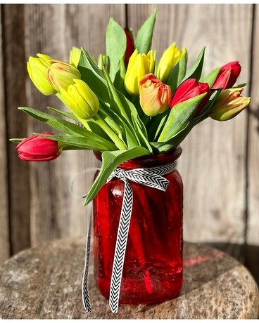 Dozen Tulips, Oregon Grown Flower Arrangement