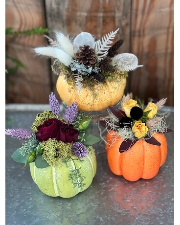 Mini Pumpkin Trio Workshop: OCT 8 Flower Arrangement