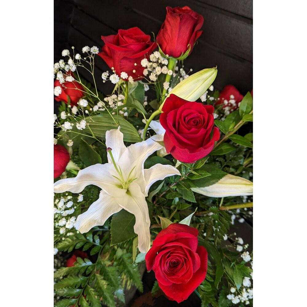 邦楽 DOZEN ROSES Dozen Roses Vased -RRX/CRX01 in Germantown TN - Holliday