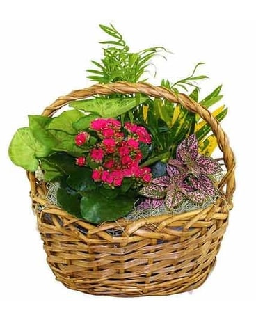Lovely Garden Flower Arrangement