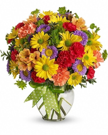 Deluxe size, 15 and a half inches height and 14 and a half inches wide.
