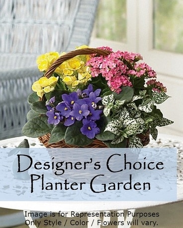 Designer’s Choice Planter Garden Flower Arrangement