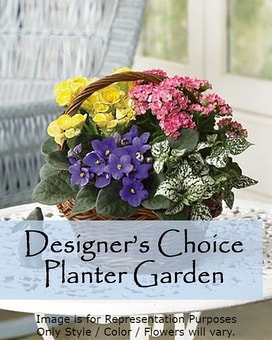 Designer’s Choice Planter Garden Flower Arrangement