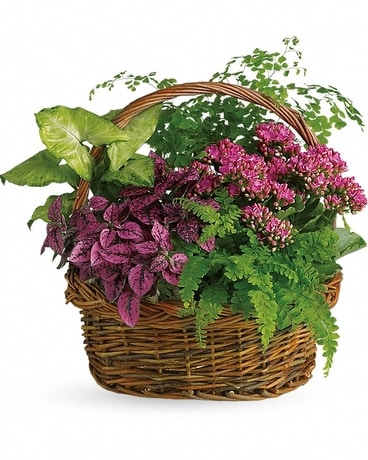 Secret Garden Basket Flower Arrangement