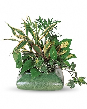Small Garden Dish Flower Arrangement