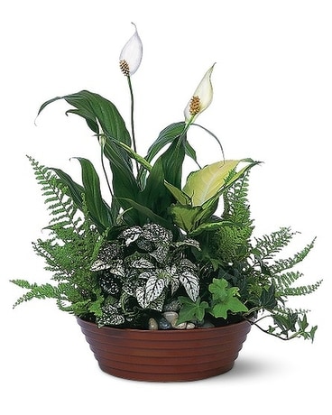 White Garden Flower Arrangement