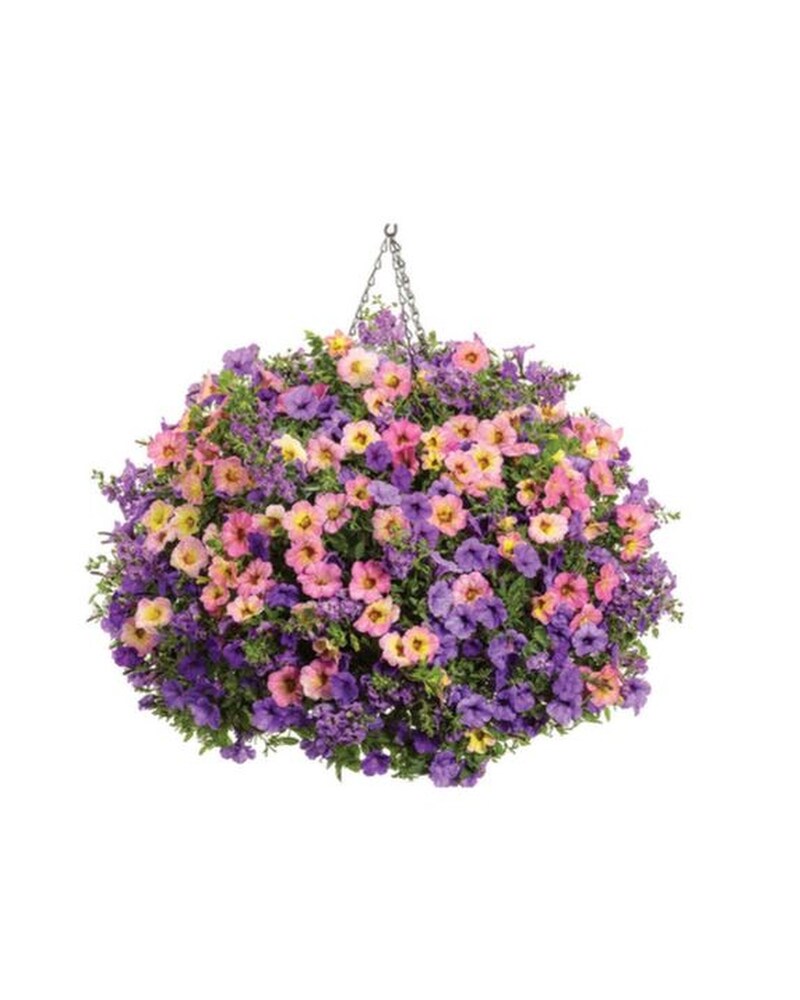 Outdoor Hanging Garden in Alexandria MN - Broadway Floral