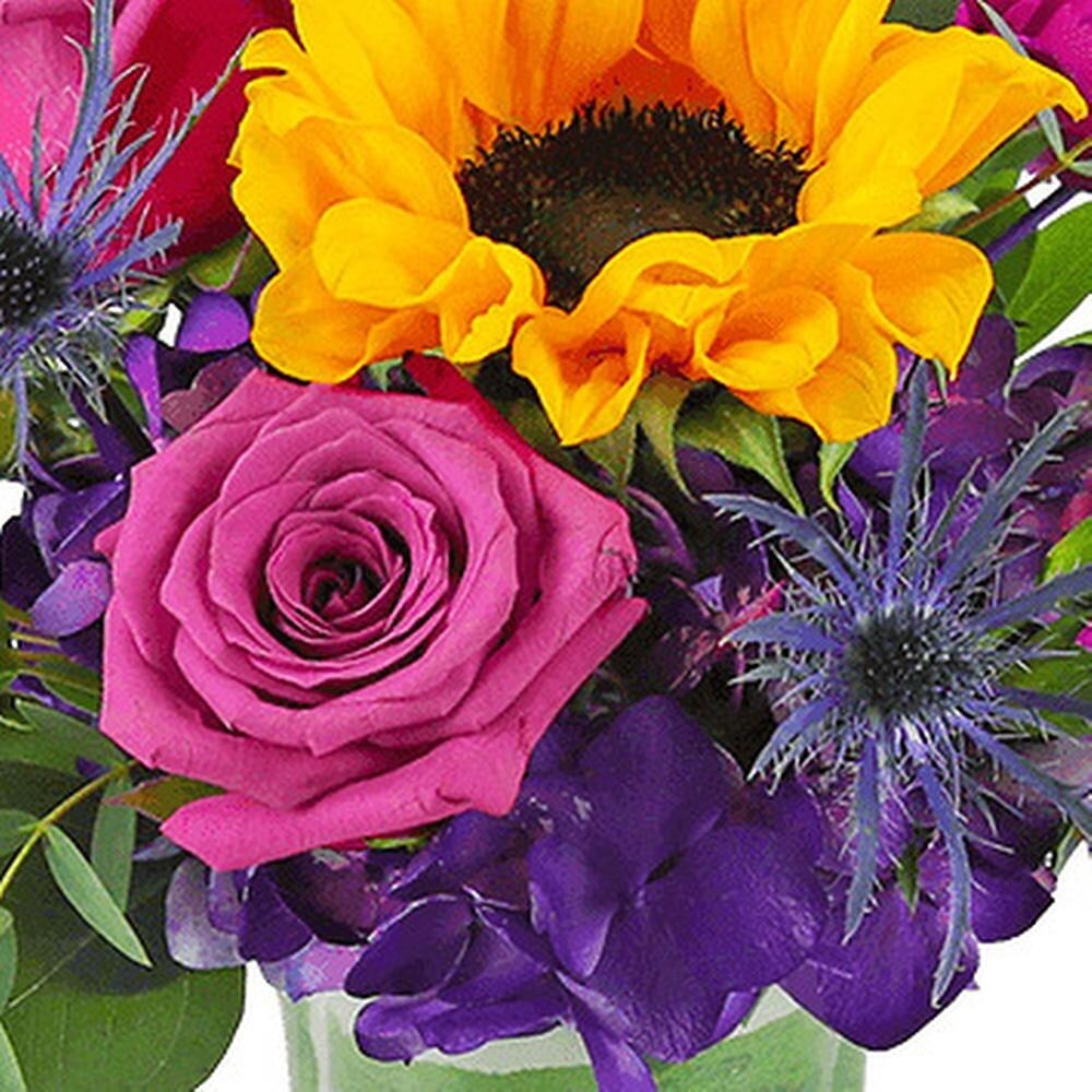 Sunny Blooms in Moline IL - K'nees Florists