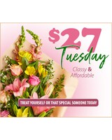 $27 Tuesday Special size,  inches height and  inches wide.