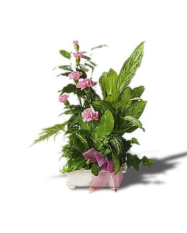 Garden of Gratitude Flower Arrangement