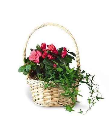 Small European Garden Flower Arrangement