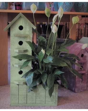 Birdhouse Planter 2 Custom product