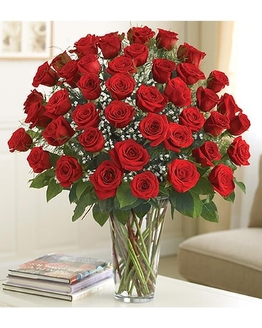 Red Roses - 6 Dozen Flower Arrangement