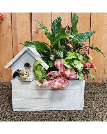 Birdhouse Planter Plant