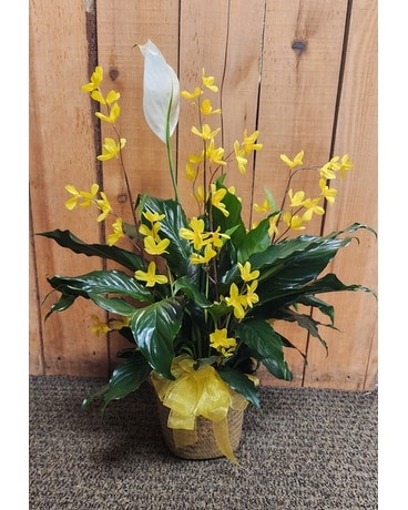 Peace Lily Plant with Silk Flowers Plant