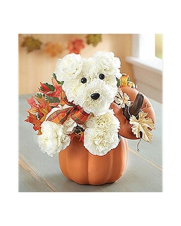 a-DOG-able for Fall