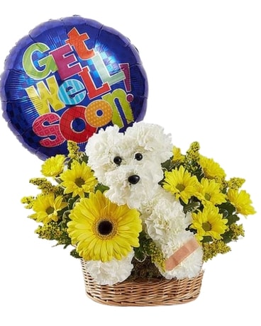 Sick As a Dog Flower Arrangement