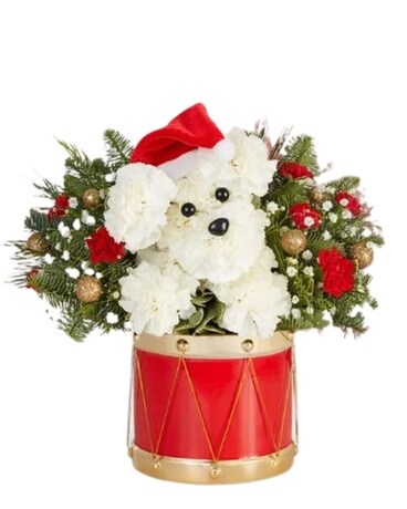 Santa Paws