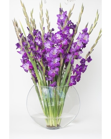 Glorious Gladiolus Flower Arrangement