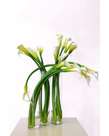 Soothing Callas Flower Arrangement